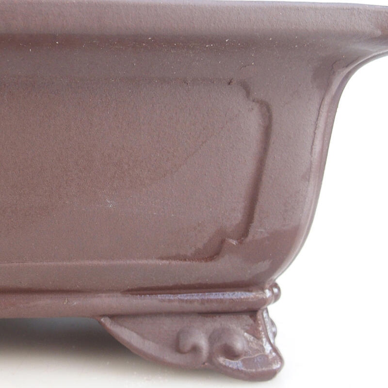 Cuenco bonsái 39 x 28 x 11 cm, marrón