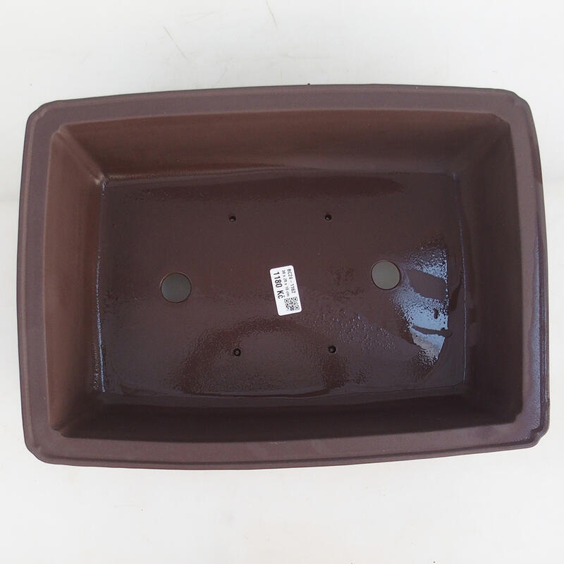 Cuenco bonsái 39 x 28 x 11 cm, marrón