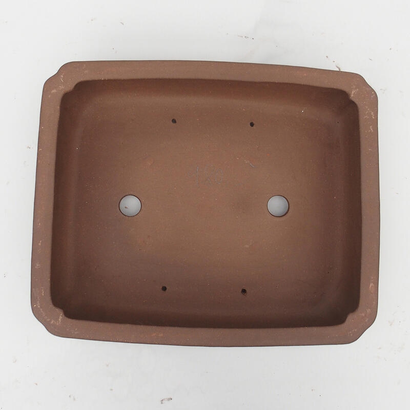 Cuenco para bonsái 39 x 33 x 11 cm - calidad japonesa