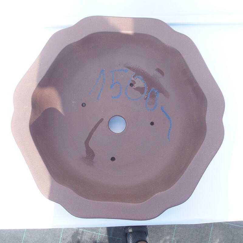 Cuenco bonsái 39 x 37 x 10 cm