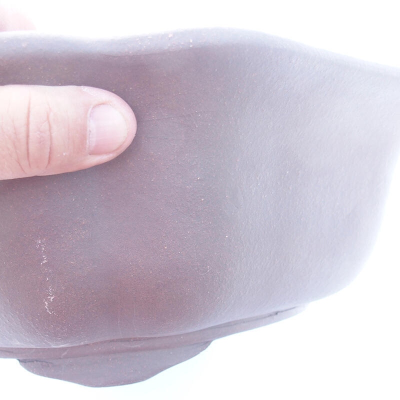 Cuenco bonsái 39 x 37 x 10 cm