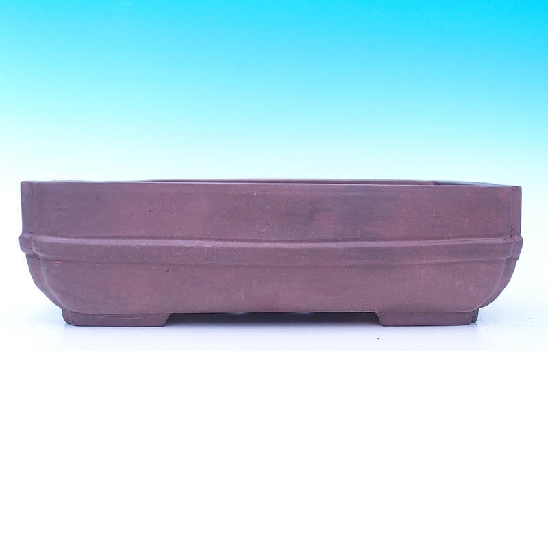 Cuenco bonsái 40 x 29 x 12 cm