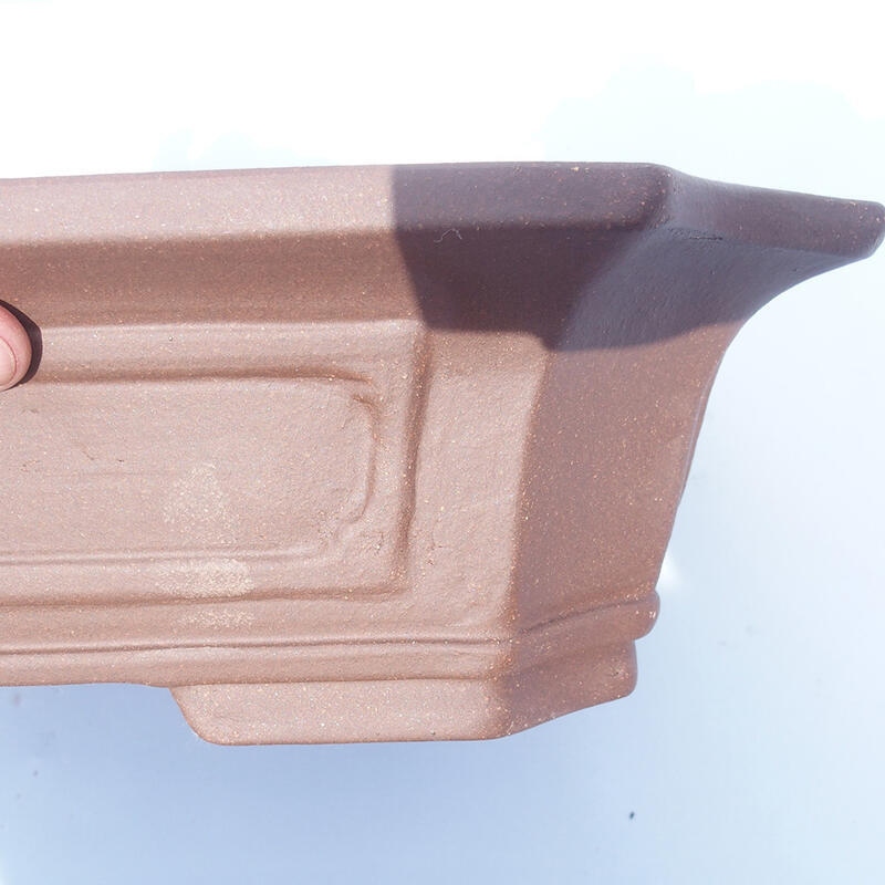 Cuenco bonsái 40 x 31 x 11 cm