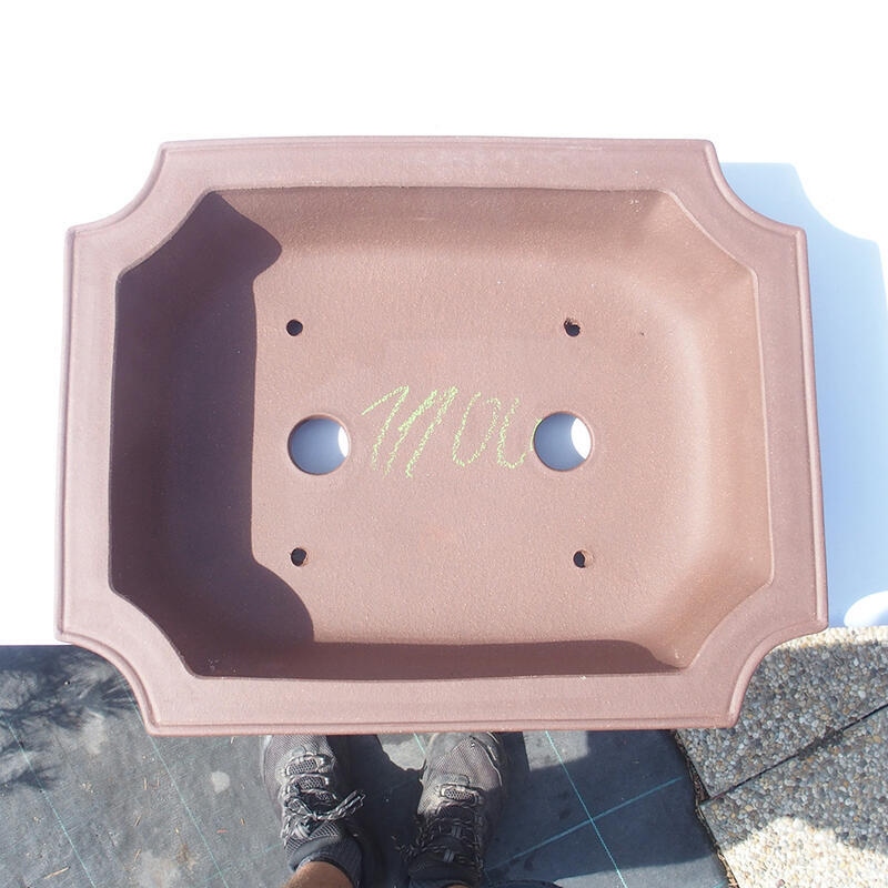 Cuenco bonsái 40 x 31 x 9,5 cm