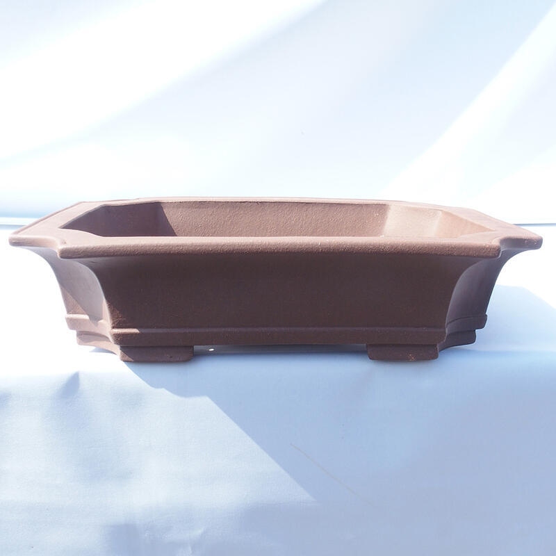 Cuenco bonsái 40 x 31 x 9,5 cm