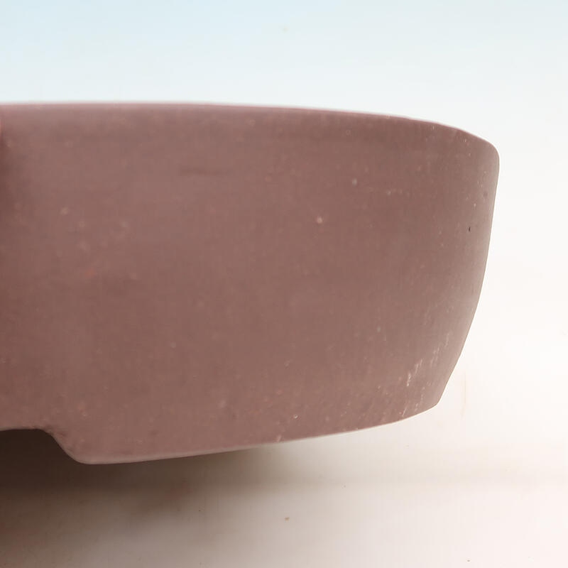 Cuenco bonsái 40 x 32 x 8 cm, marrón