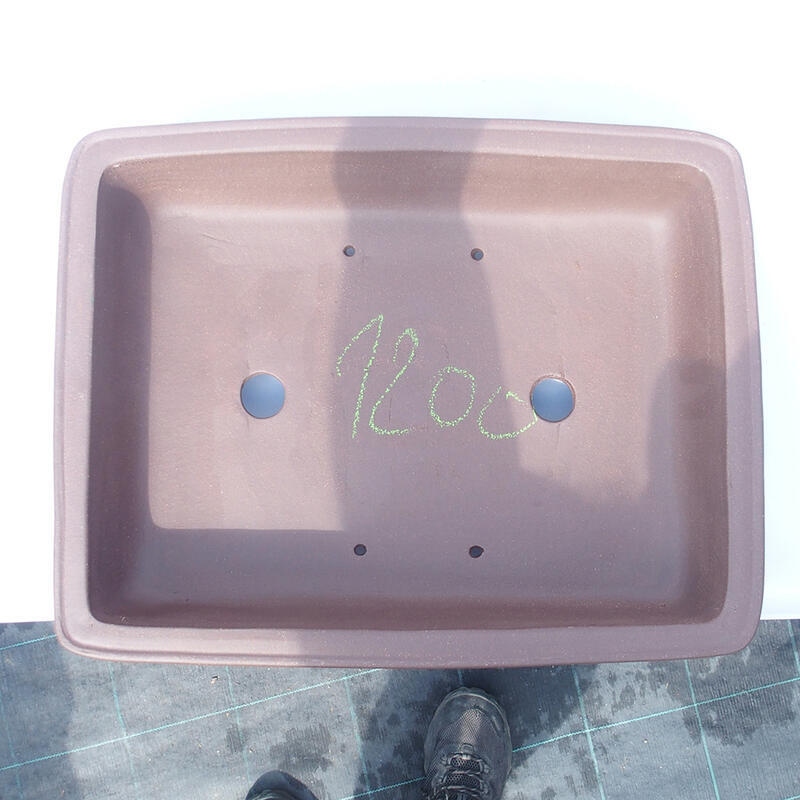 Cuenco bonsái 41 x 32 x 10 cm