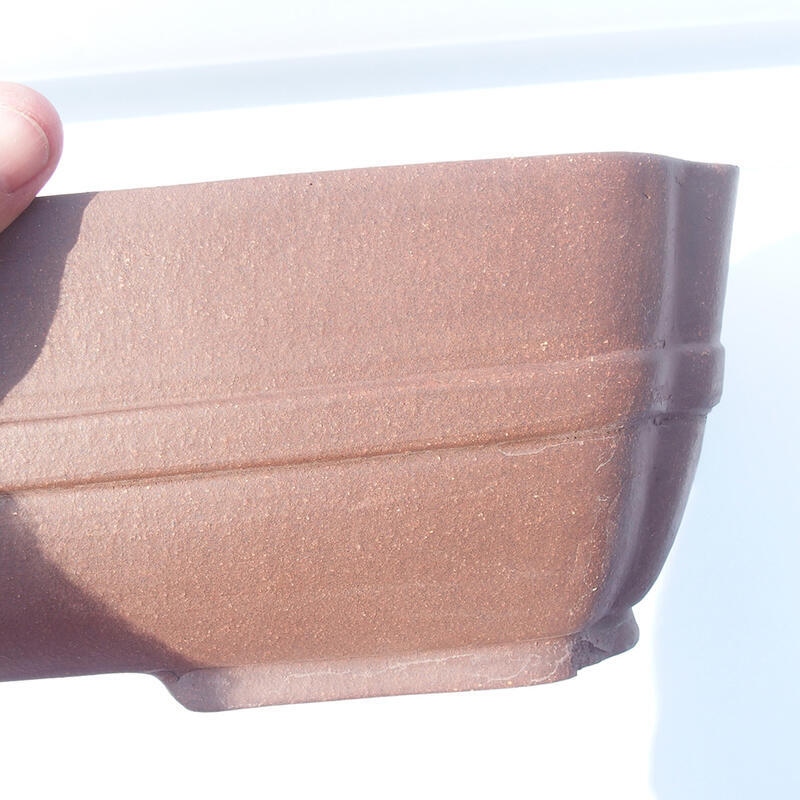 Cuenco bonsái 41 x 32 x 11 cm