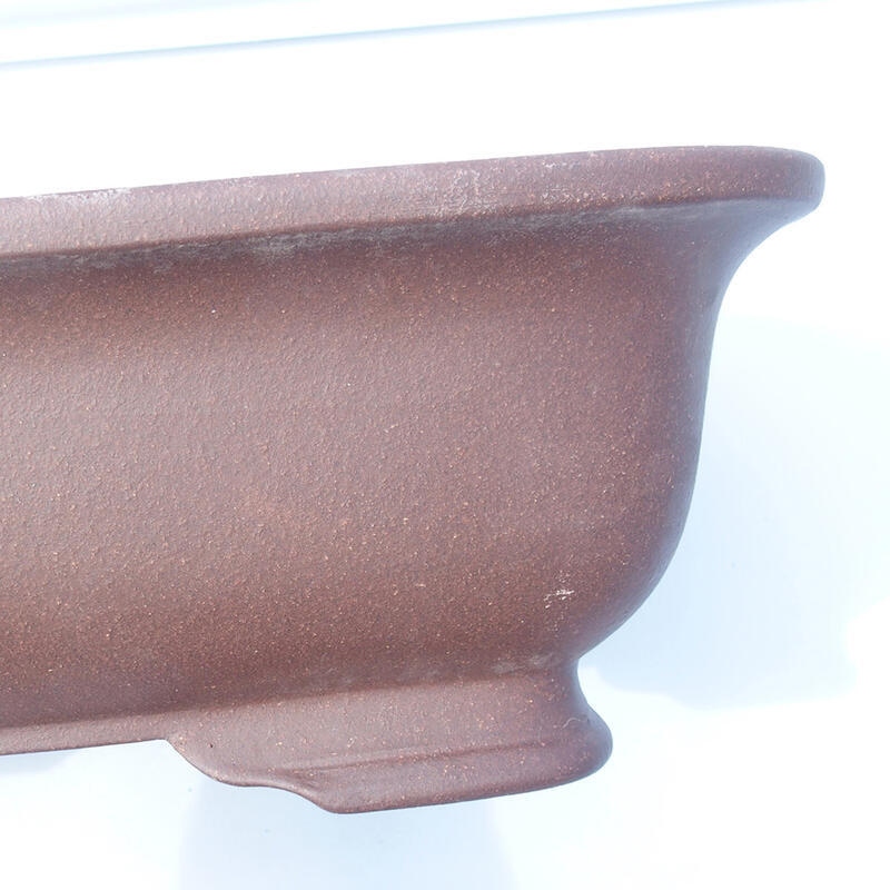 Cuenco bonsái 43 x 30 x 12 cm