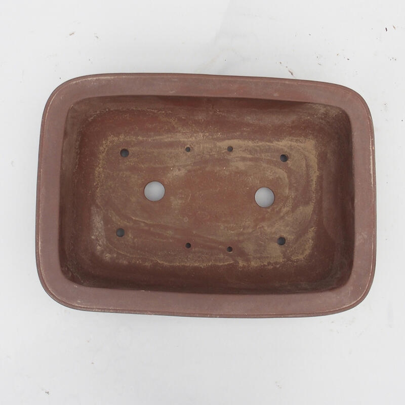 Cuenco para bonsái 43 x 31 x 12 cm - calidad japonesa