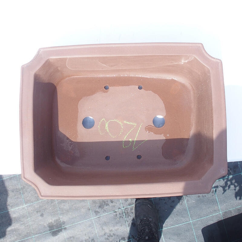 Cuenco bonsái 43 x 32 x 13 cm