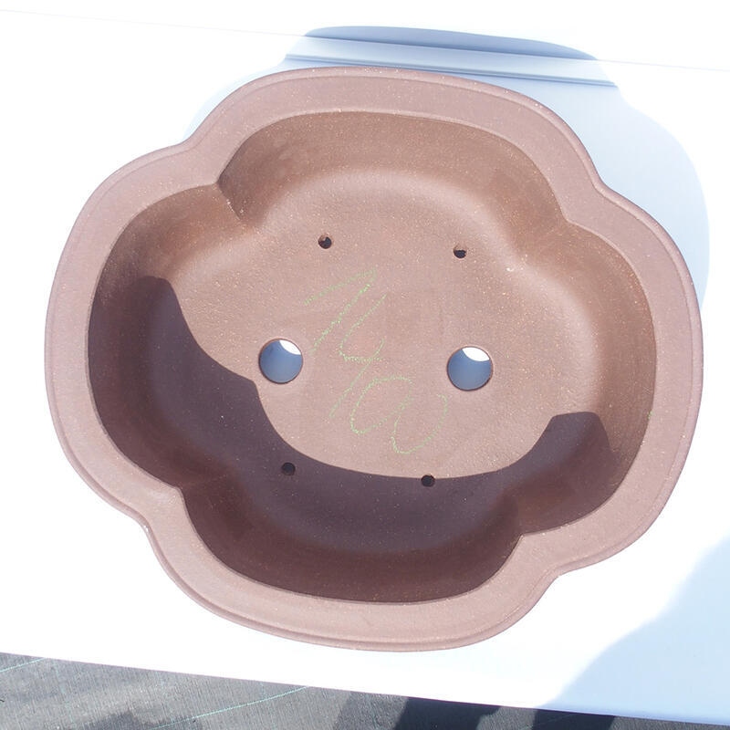 Cuenco bonsái 44 x 39 x 14 cm