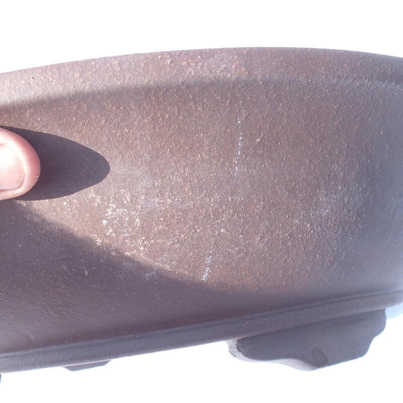 Cuenco bonsái 44 x 44 x 11 cm