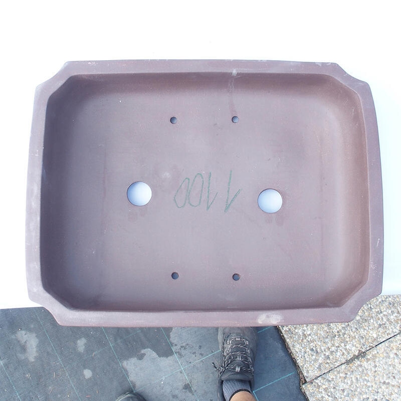 Cuenco bonsái 45 x 34 x 10 cm