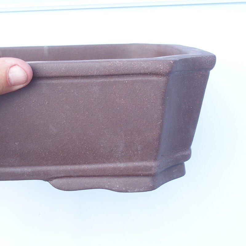 Cuenco bonsái 45 x 34 x 10 cm