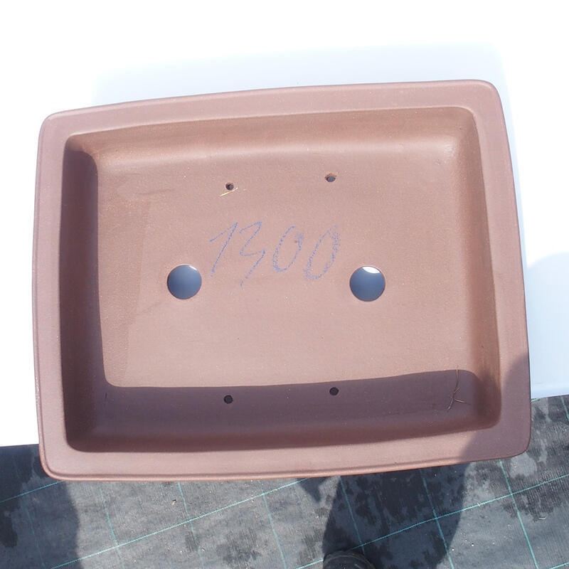 Cuenco bonsái 45 x 36 x 11 cm