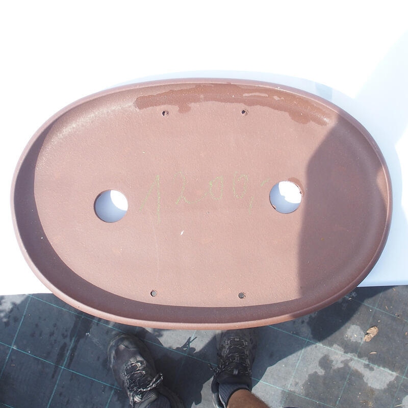 Cuenco bonsái 47 x 31 x 4 cm