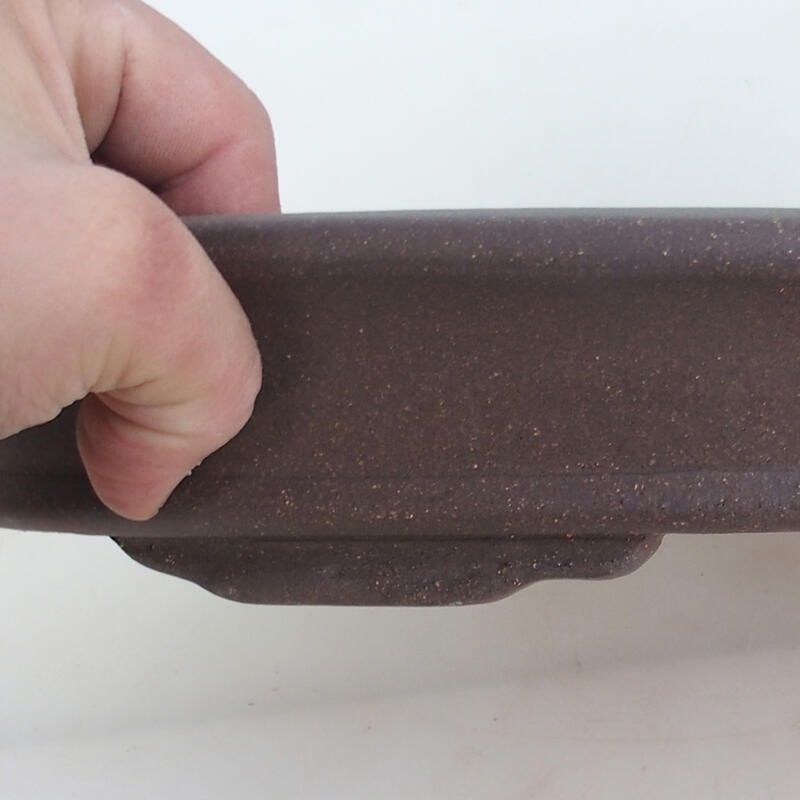 Cuenco bonsái 47 x 31 x 6 cm, color natural