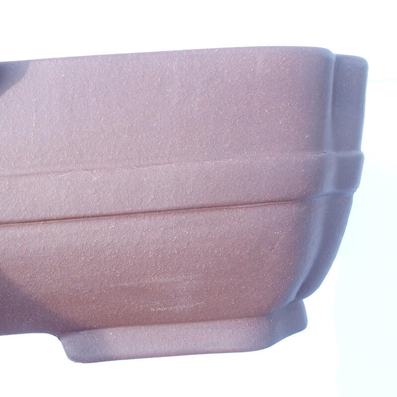 Cuenco bonsái 47 x 36 x 12 cm