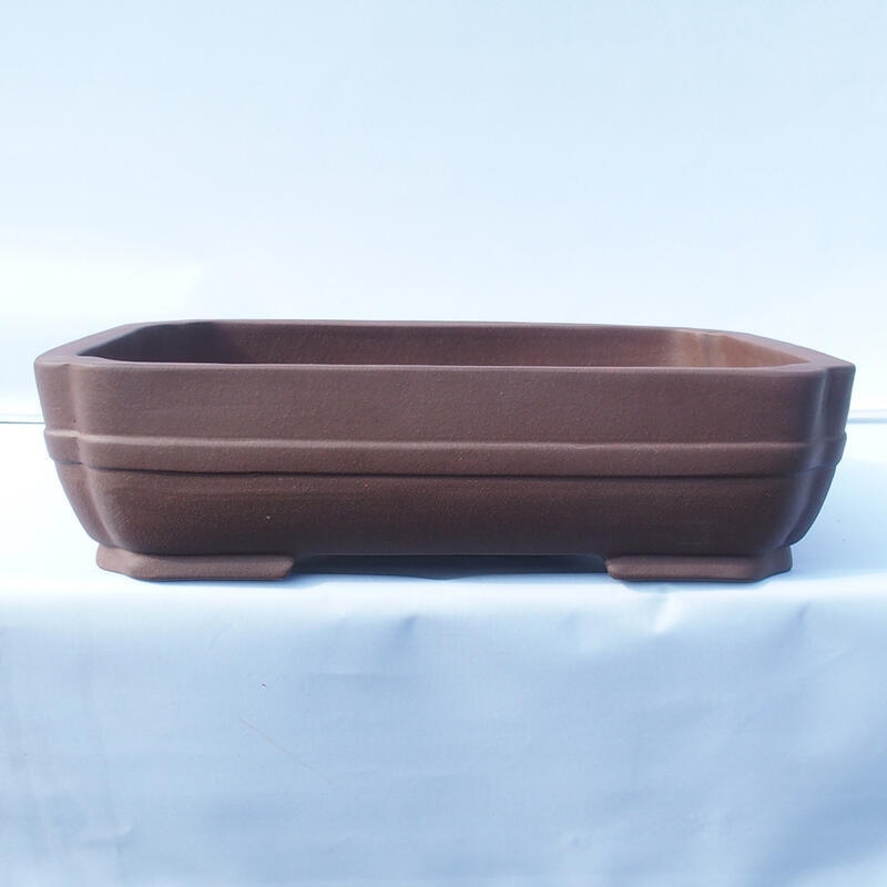 Cuenco bonsái 47 x 36 x 12 cm