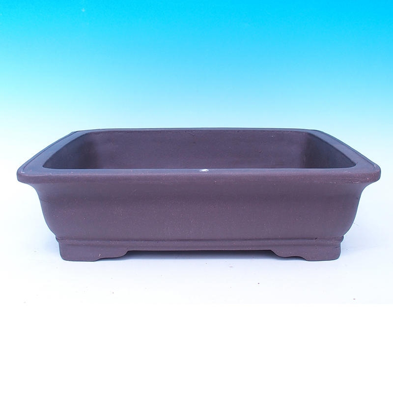 Cuenco bonsái 47 x 37 x 13 cm