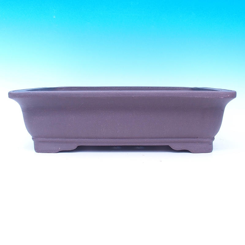 Cuenco bonsái 47 x 37 x 13 cm