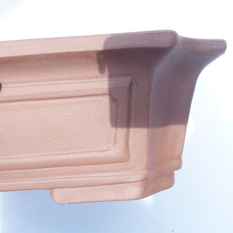 Cuenco bonsái 47 x 38 x 13 cm