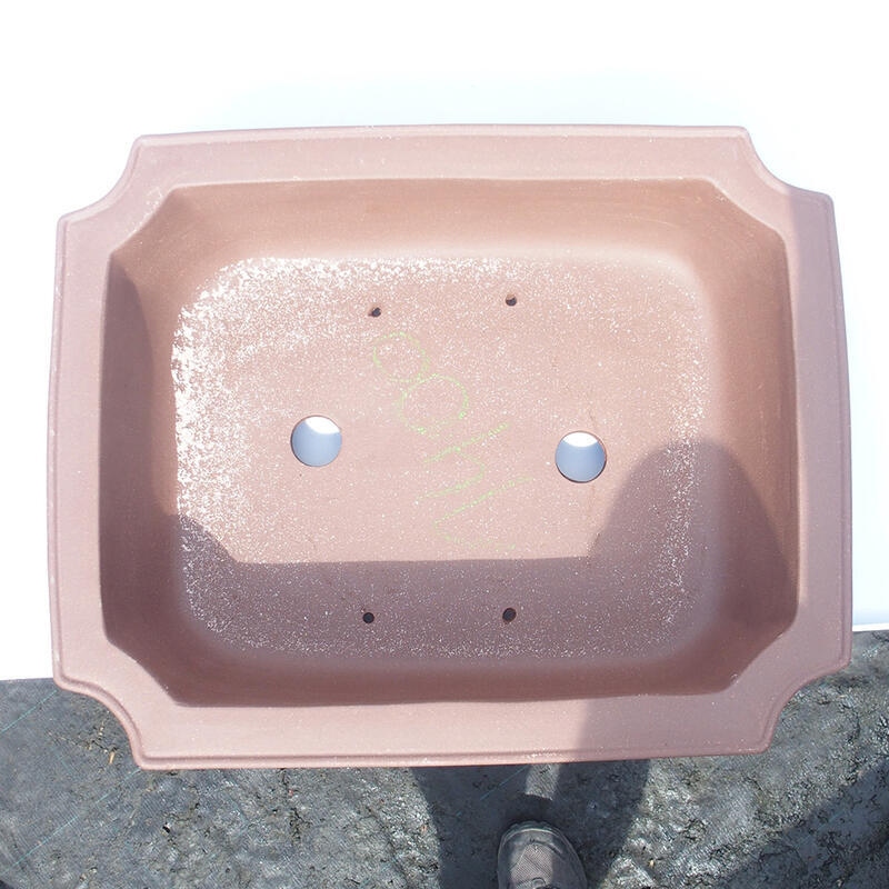 Cuenco bonsái 47 x 38 x 13 cm