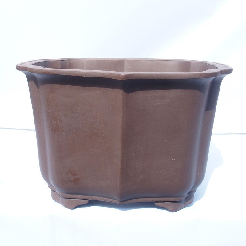 Cuenco bonsái 47 x 42 x 31 cm