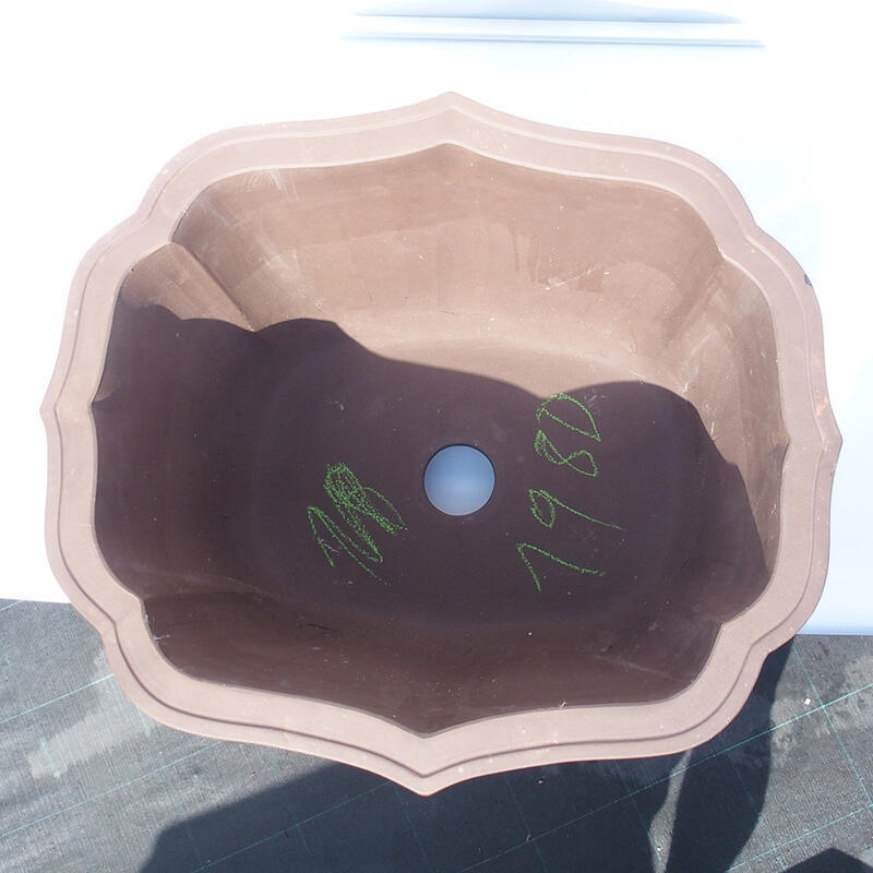 Cuenco bonsái 47 x 42 x 31 cm