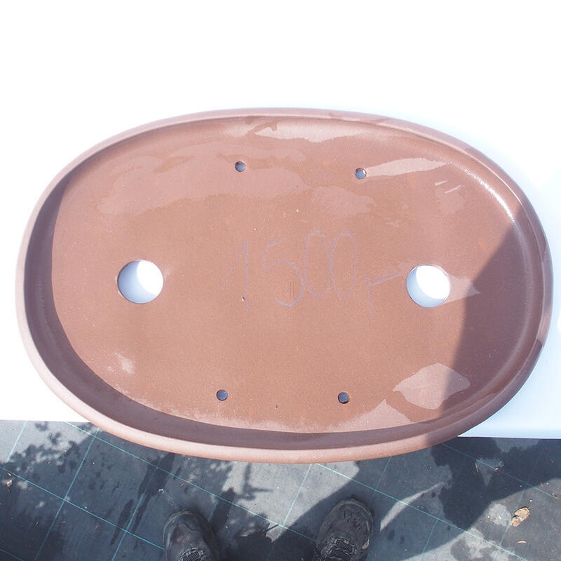 Cuenco bonsái 48 x 37 x 5 cm