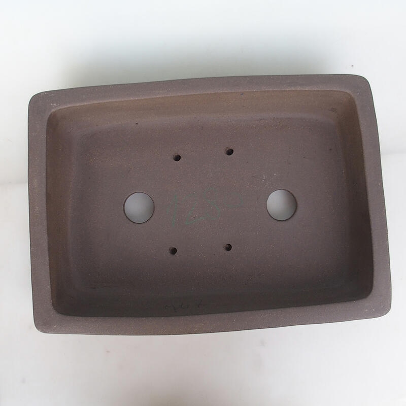 Cuenco bonsái 50 x 36 x 10 cm, color natural