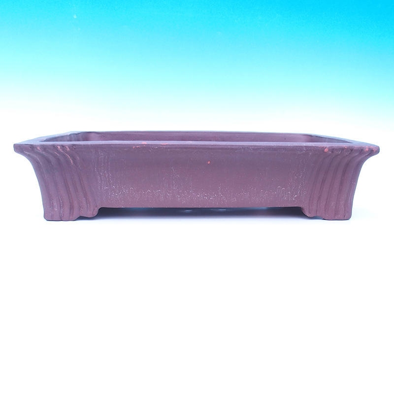 Cuenco bonsái 50 x 37 x 11 cm