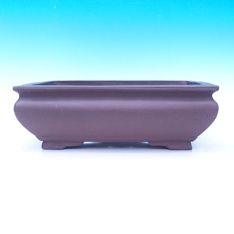 Cuenco bonsái 50 x 37 x 18 cm