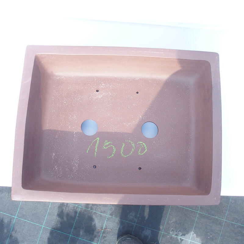 Cuenco bonsái 50 x 39 x 14 cm