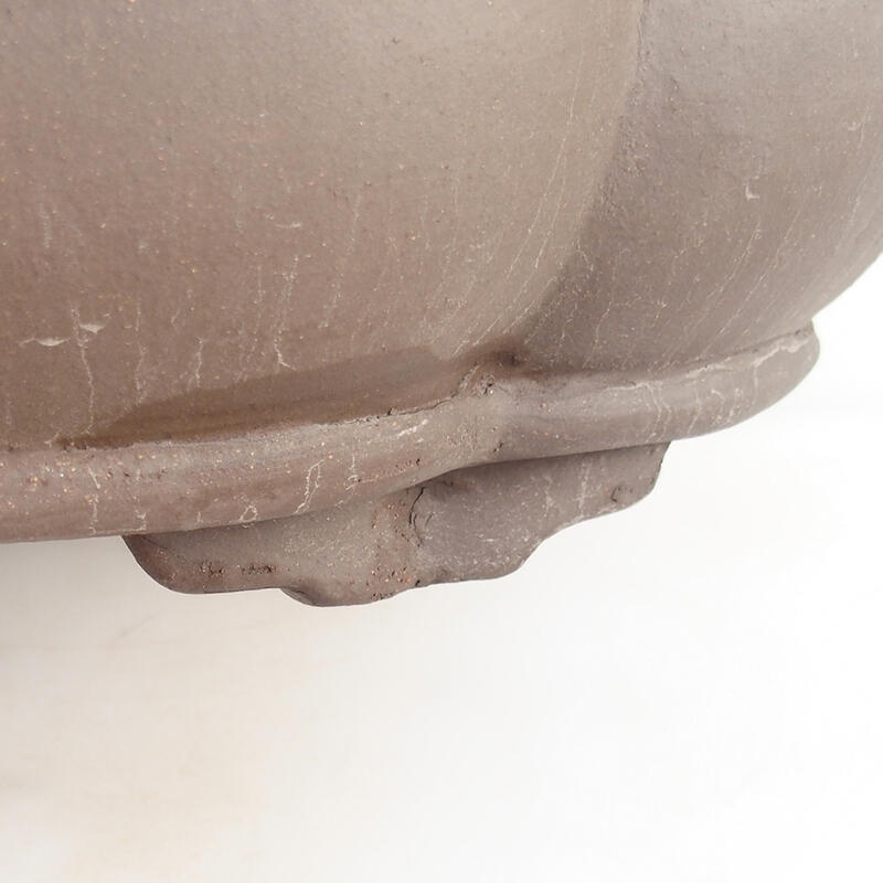 Cuenco bonsái 50 x 41 x 13 cm