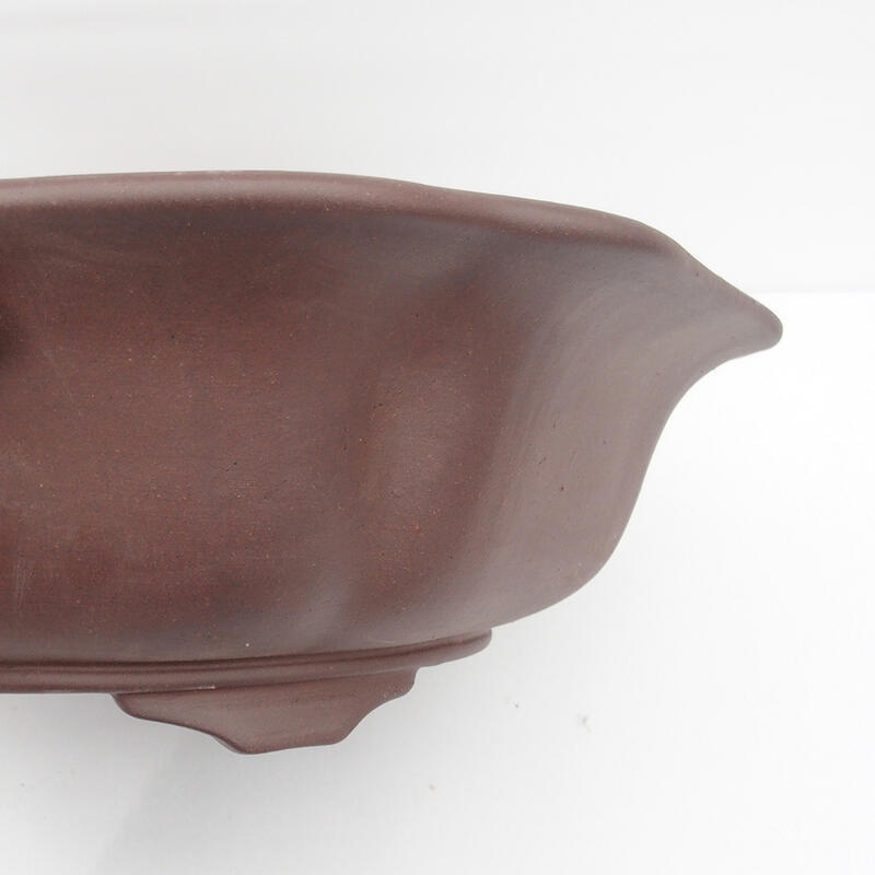 Cuenco para bonsái 50 x 47 x 14 cm - calidad japonesa