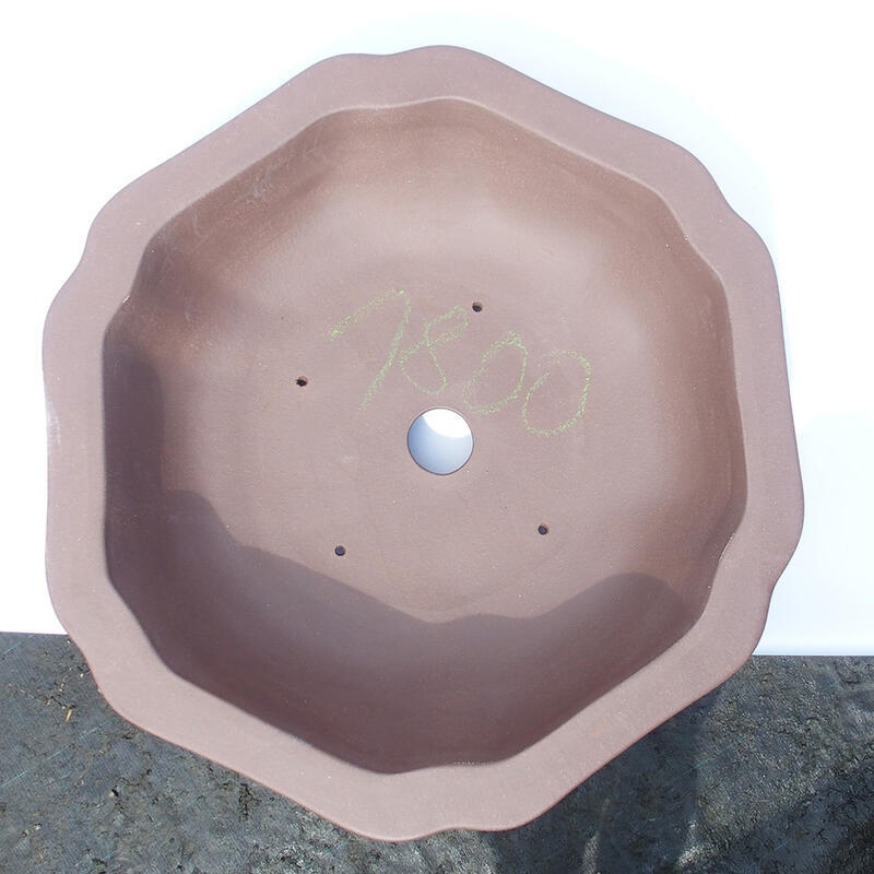 Cuenco bonsái 50 x 50 x 14 cm