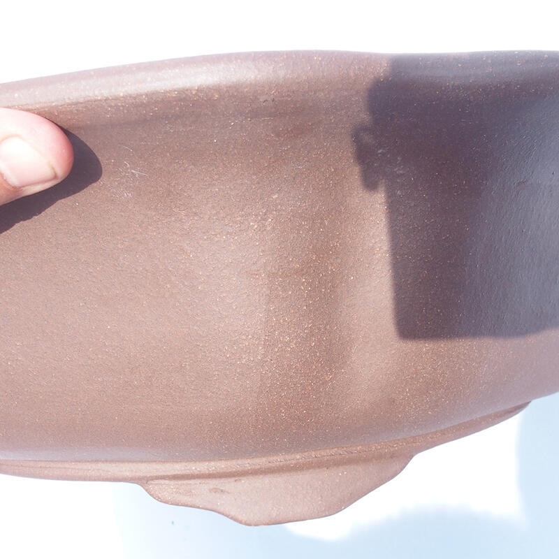 Cuenco bonsái 50 x 50 x 14 cm