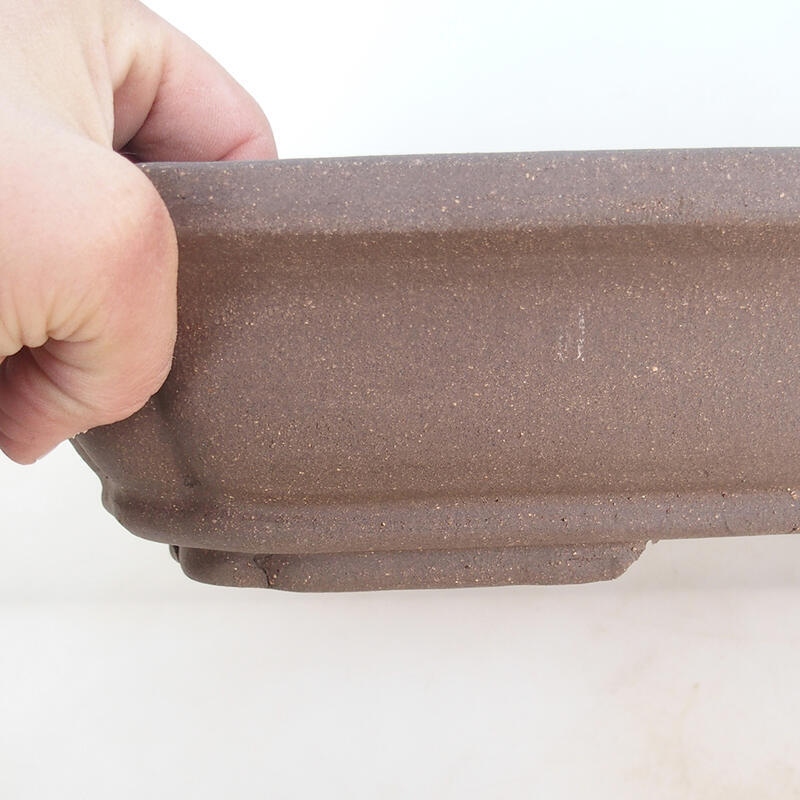 Cuenco bonsái 51 x 33,5 x 8 cm, color natural