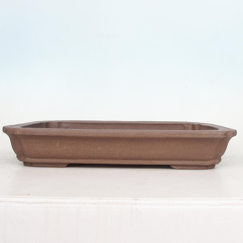 Cuenco bonsái 51 x 33,5 x 8 cm, color natural