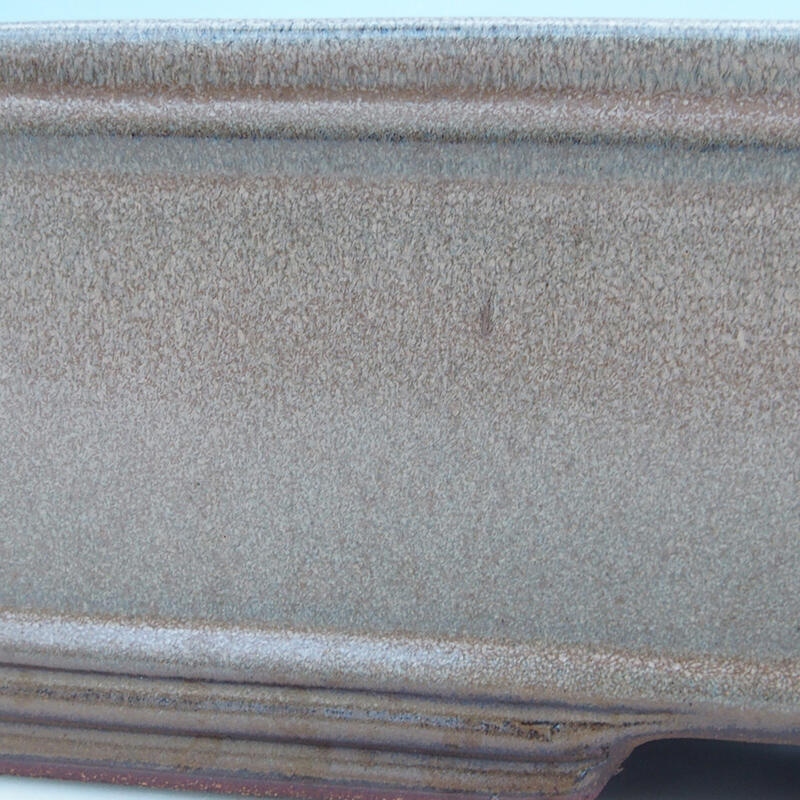 Cuenco para bonsái 51 x 34 x 10,5 cm, color beige - sólo transporte en palé