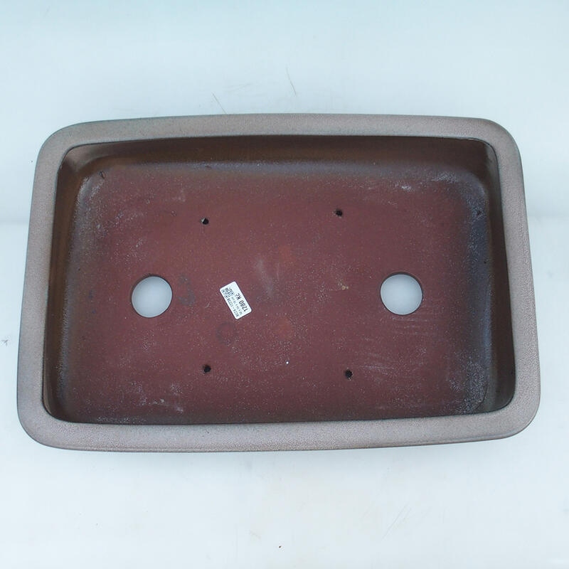 Cuenco para bonsái 51 x 34 x 10,5 cm, color beige - sólo transporte en palé