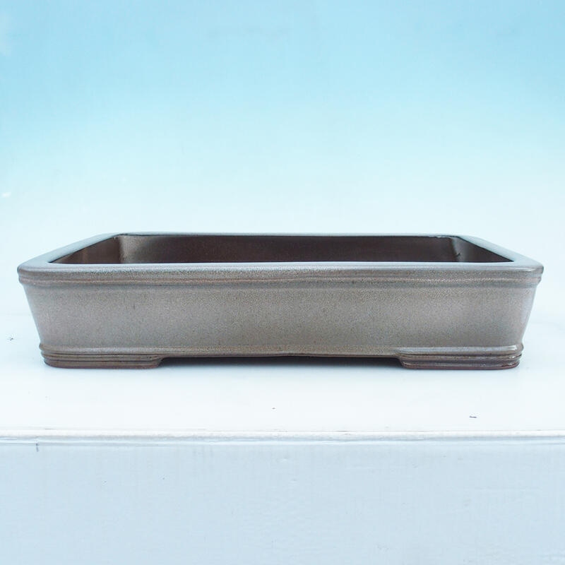 Cuenco para bonsái 51 x 34 x 10,5 cm, color beige - sólo transporte en palé