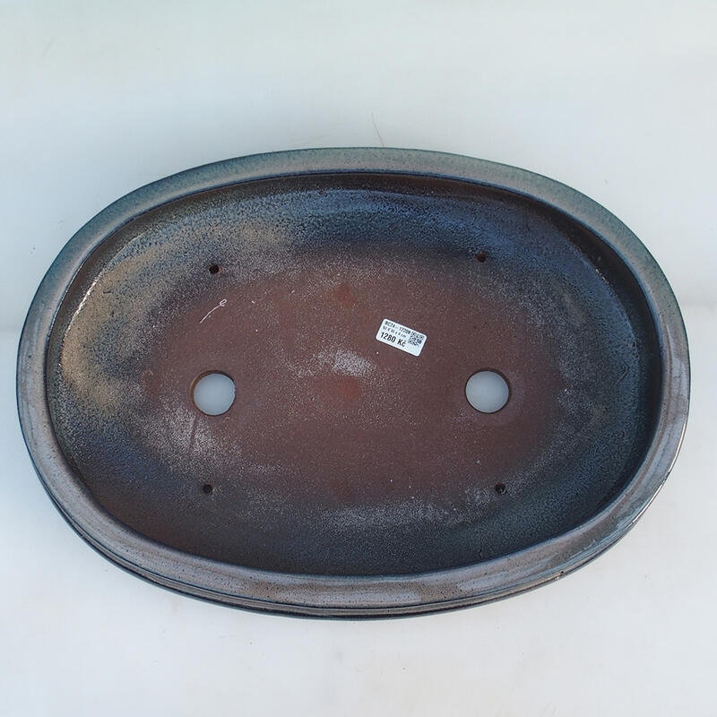 Cuenco para bonsái 51 x 36,5 x 10 cm, color azul-beige - sólo transporte en palé