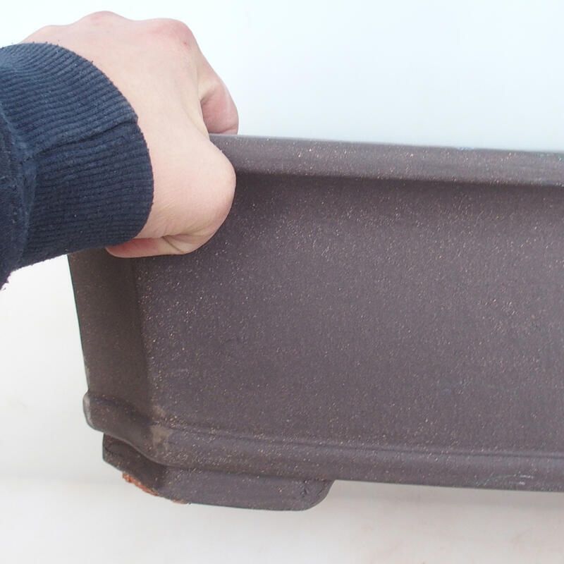 Cuenco bonsái 51 x 38 x 15 cm, color natural