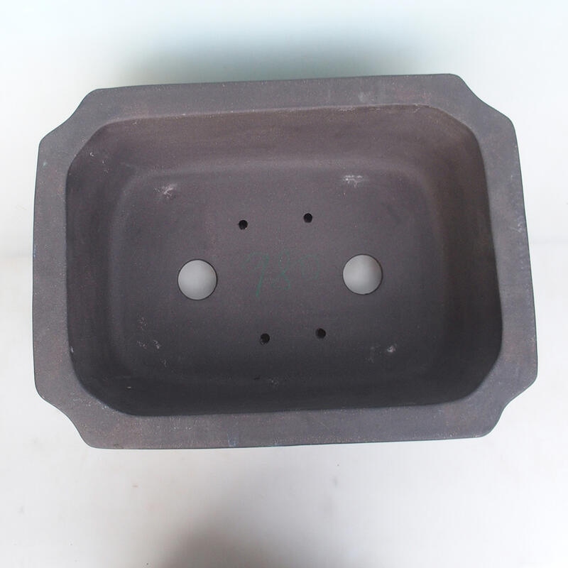 Cuenco bonsái 51 x 38 x 15 cm, color natural