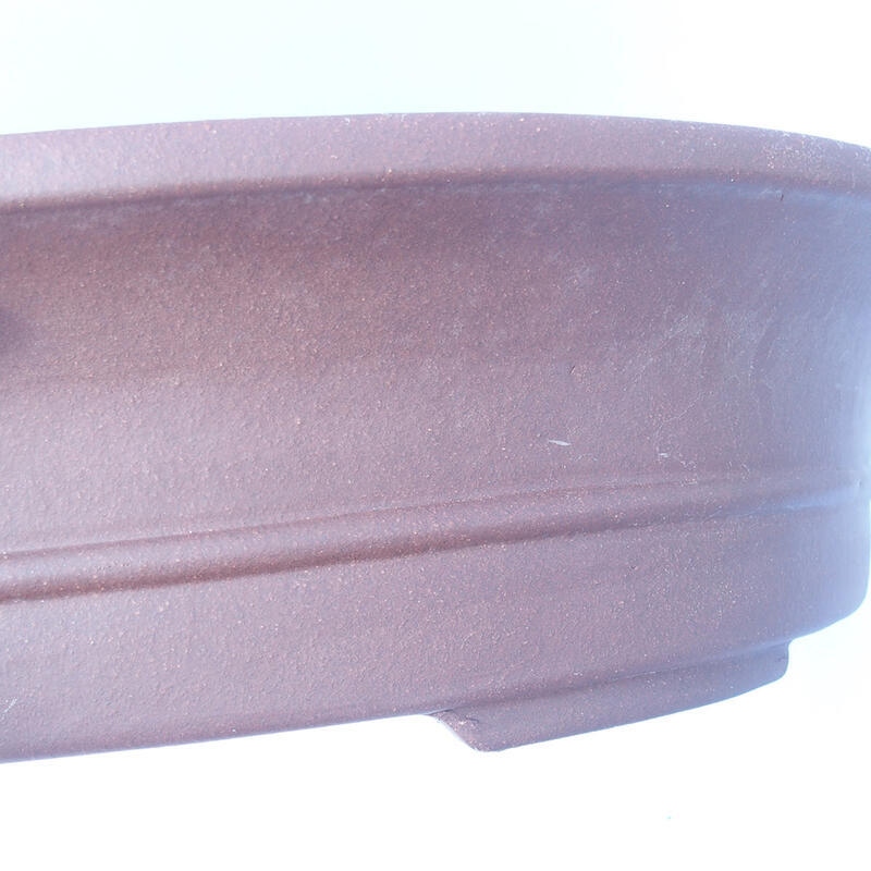 Cuenco bonsái 51 x 42 x 12 cm