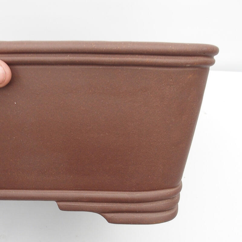 Cuenco para bonsái 52 x 16 x 19 cm - calidad japonesa