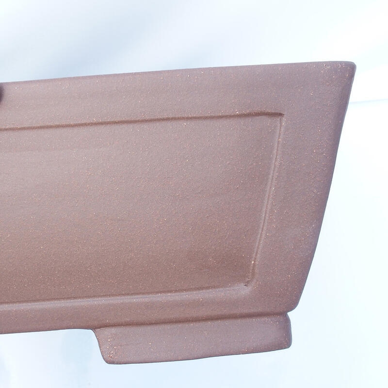 Cuenco bonsái 54 x 40 x 14 cm